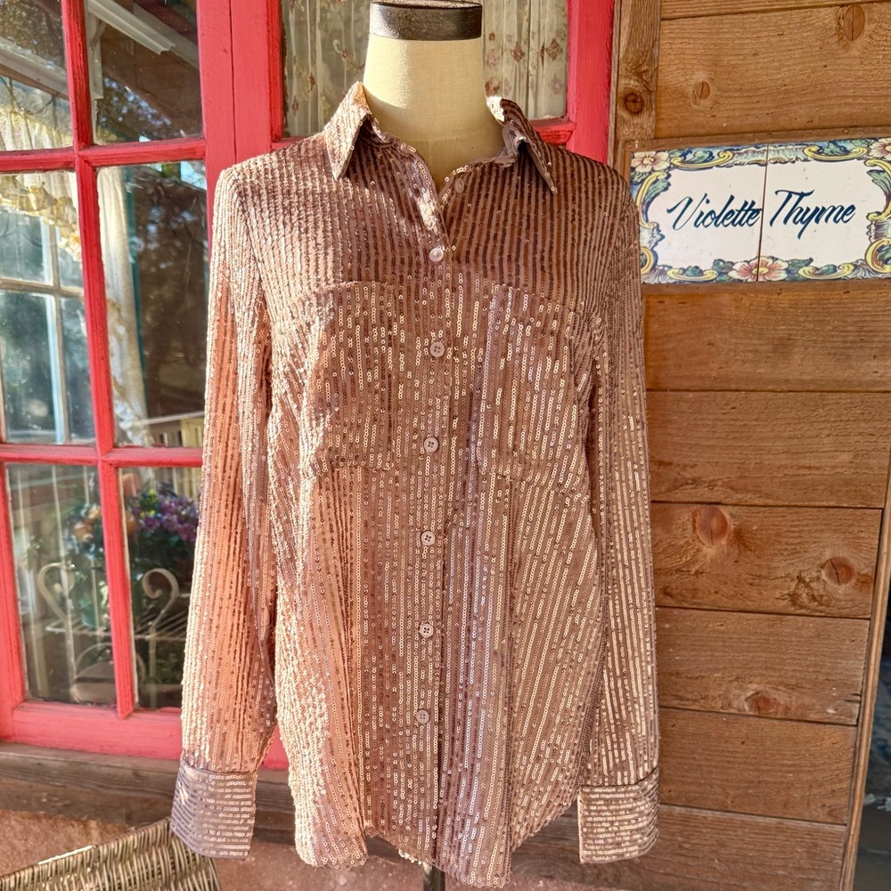 Anthropologie ‘The Remie’ Sequin Buttondown